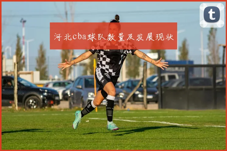 河北cba球队数量及发展现状