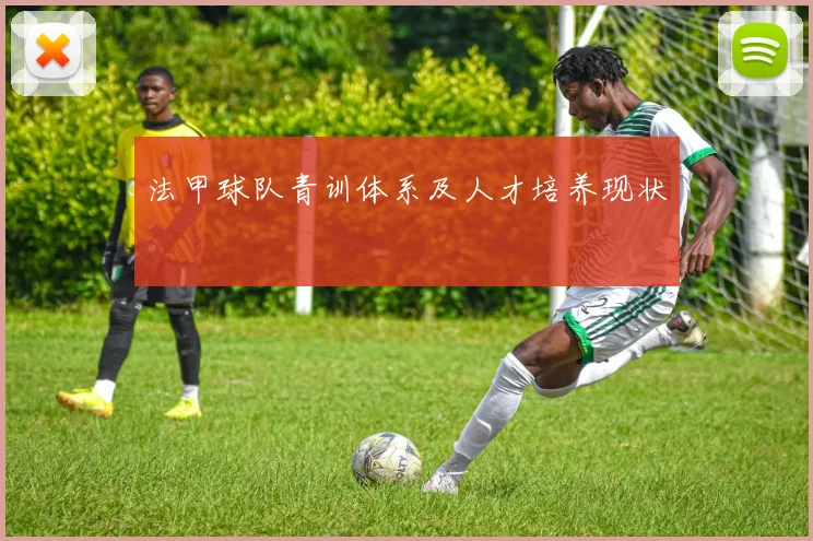 法甲球队青训体系及人才培养现状