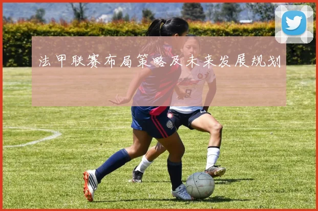 法甲联赛布局策略及未来发展规划