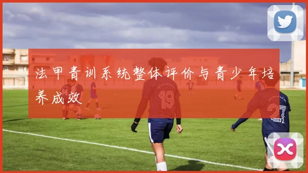 法甲青训系统整体评价与青少年培养成效