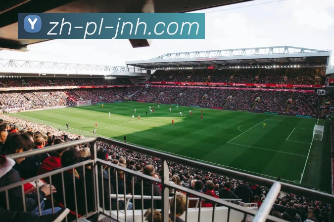 金年会体育APP 封面图