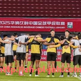 金年会-2013年中超联赛山东鲁能赛程及赛事分析